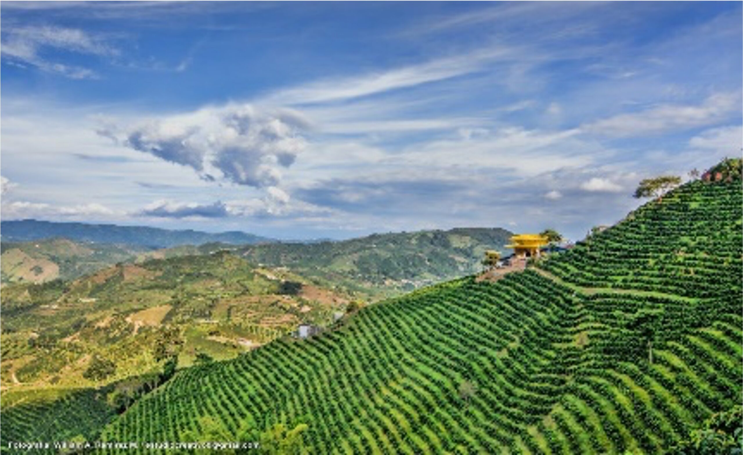 muestra_49-1.jpg