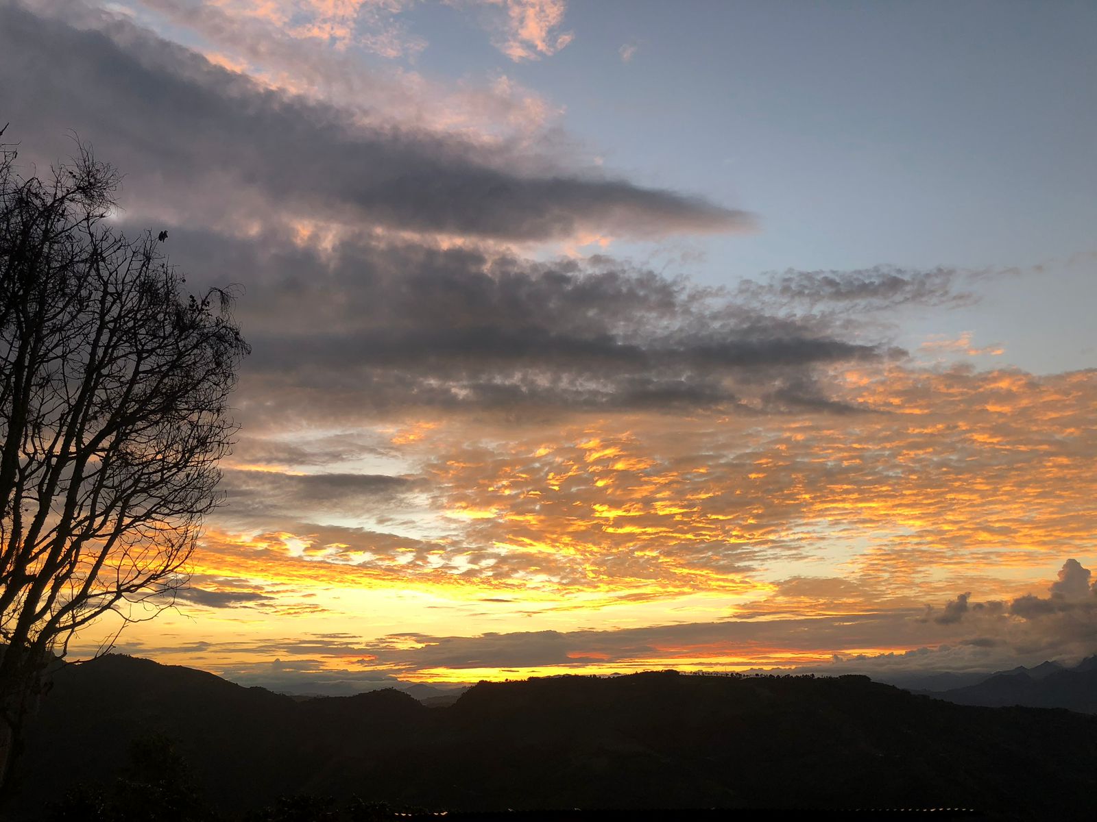 Finca La Guaca
